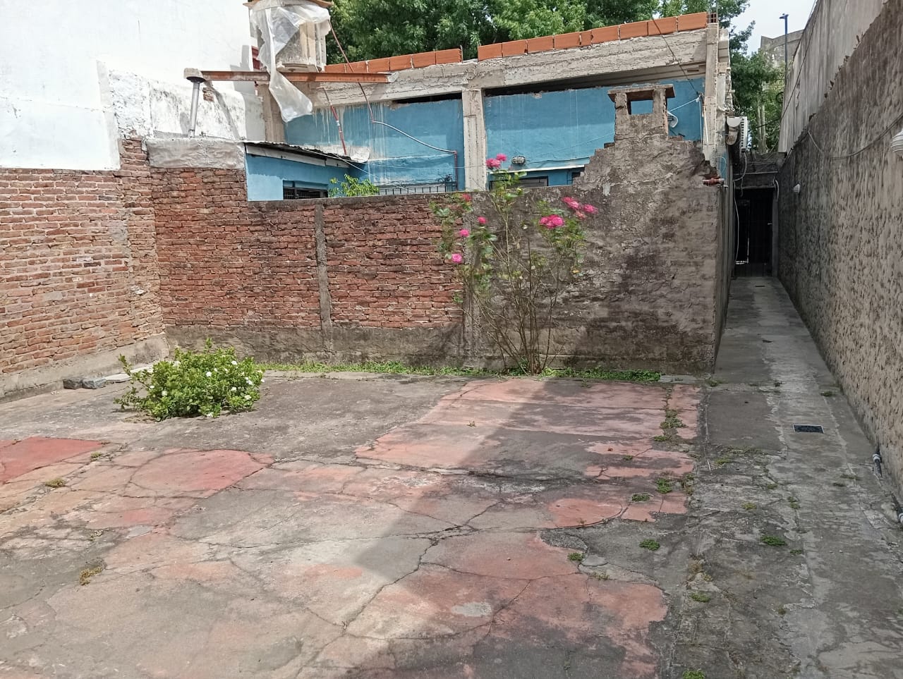 Imagen de propiedad